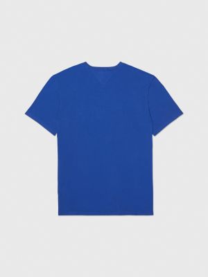 Mens royal blue hotsell v neck t shirt