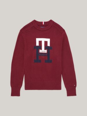 Tommy hilfiger sale pink sweatshirt mens