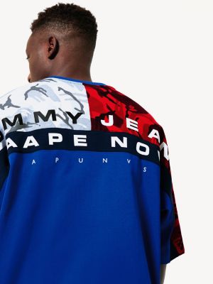 aape tommy hilfiger