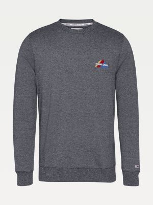tommy jeans mountain logo hoodie