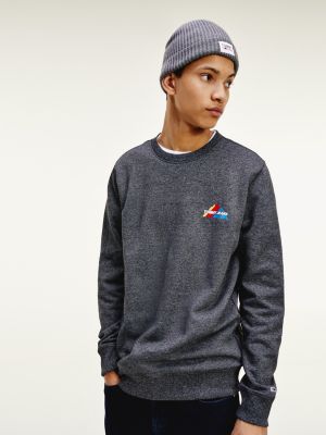 tommy jeans mountain logo hoodie