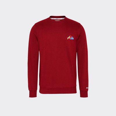tommy jeans mountain logo hoodie