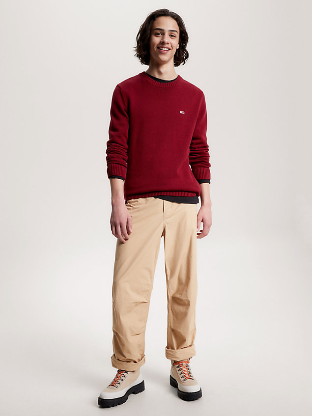 pullover essential con bandierina red da uomo tommy jeans