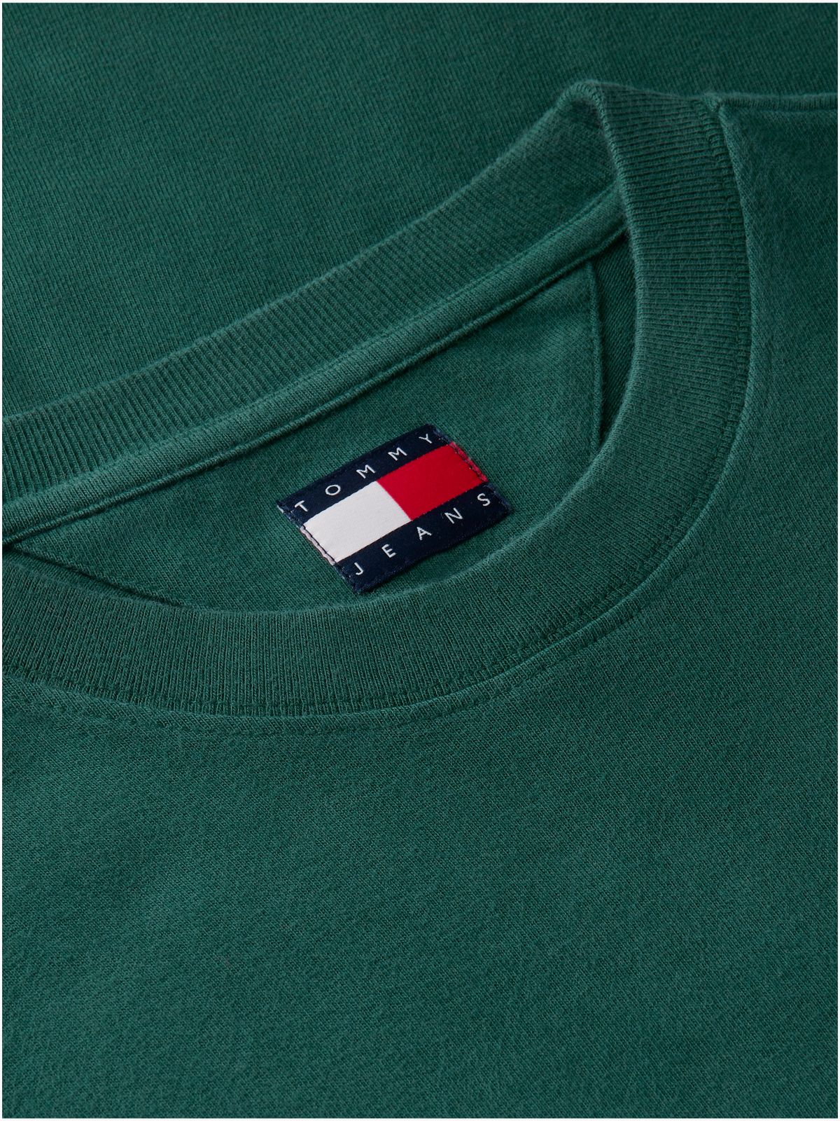 Wavy Flag Back Logo Relaxed T-Shirt — Green
