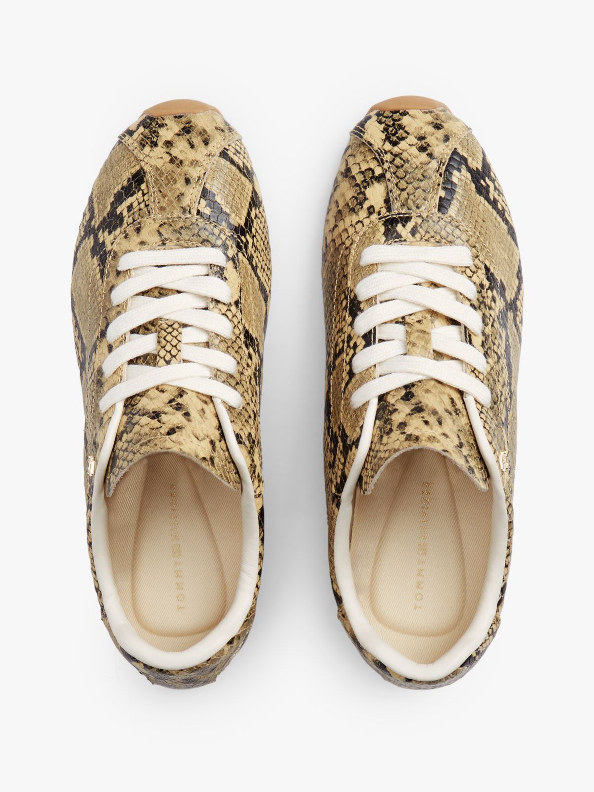 Snake Print Leather Trainers — Multi