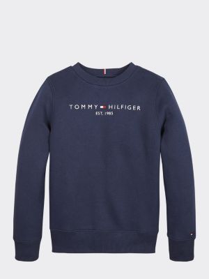 tommy hilfiger chest logo hoodie
