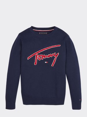 tommy hilfiger signature jumper