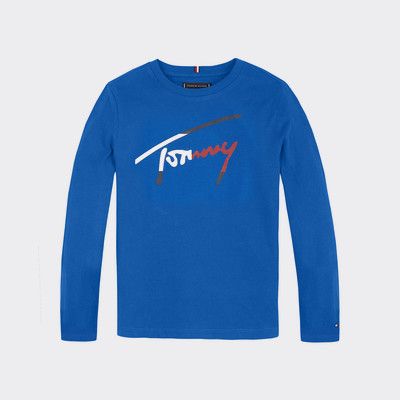 tommy hilfiger blue long sleeve