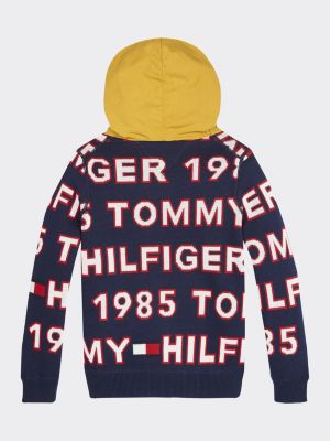 tommy hilfiger hooded jumper