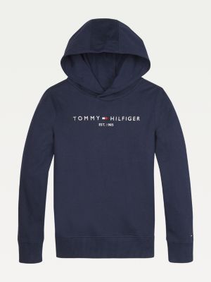 tommy hilfiger essential logo hoodie