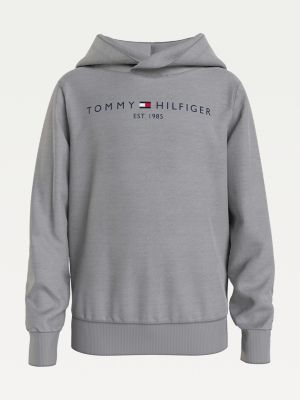 boys tommy hilfiger hoody