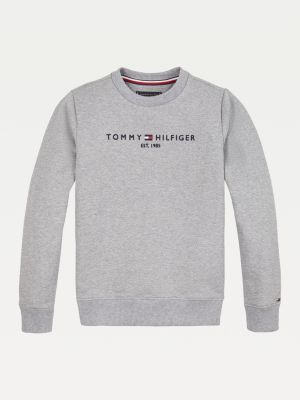 tommy hilfiger logo pullover hoodie