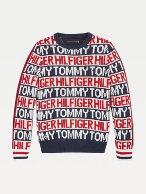 tommy hilfiger cotton jumper