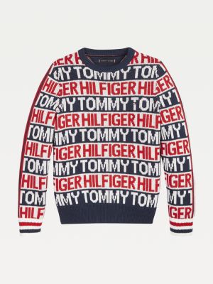 boys tommy hilfiger jumper