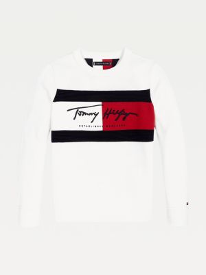 tommy hilfiger jumper crew neck