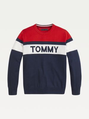 tommy hilfiger jumper uk