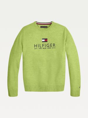 boys tommy hilfiger jumpers