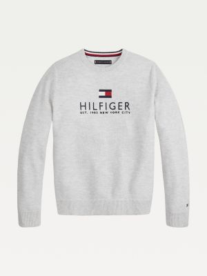 tommy hilfiger hooded jumper