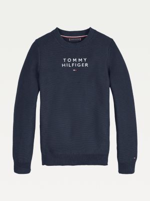 tommy hilfiger hoodie kids