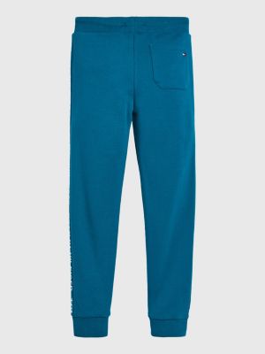 boys tommy hilfiger joggers