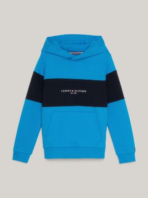 Boys tommy hilfiger online hoody