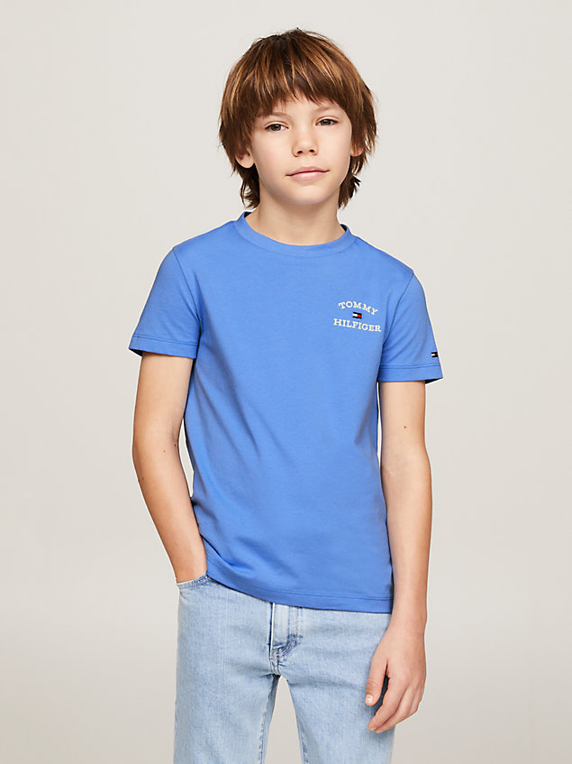 blue crew neck logo t-shirt for boys tommy hilfiger