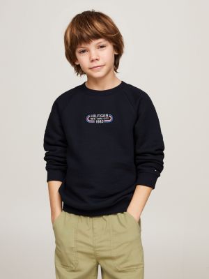 Boys Sweatshirts Hoodies Tommy Hilfiger EE