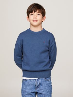 Boys tommy hilfiger jumper hotsell