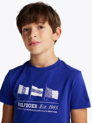 blue flag graphic crew neck t-shirt for boys tommy hilfiger