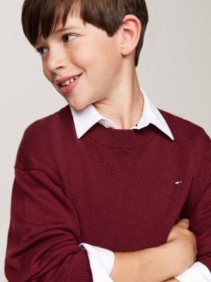 pull à col ras-du-cou et drapeau brodé rouge pour garçons tommy hilfiger