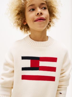 multi hilfiger flag crew neck jumper for boys tommy hilfiger