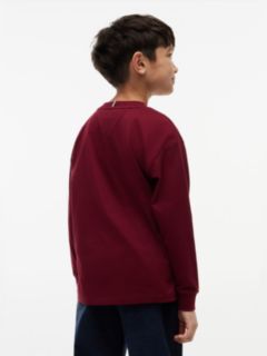 Flag Embroidery Relaxed Long Sleeve T-Shirt — Purple 4