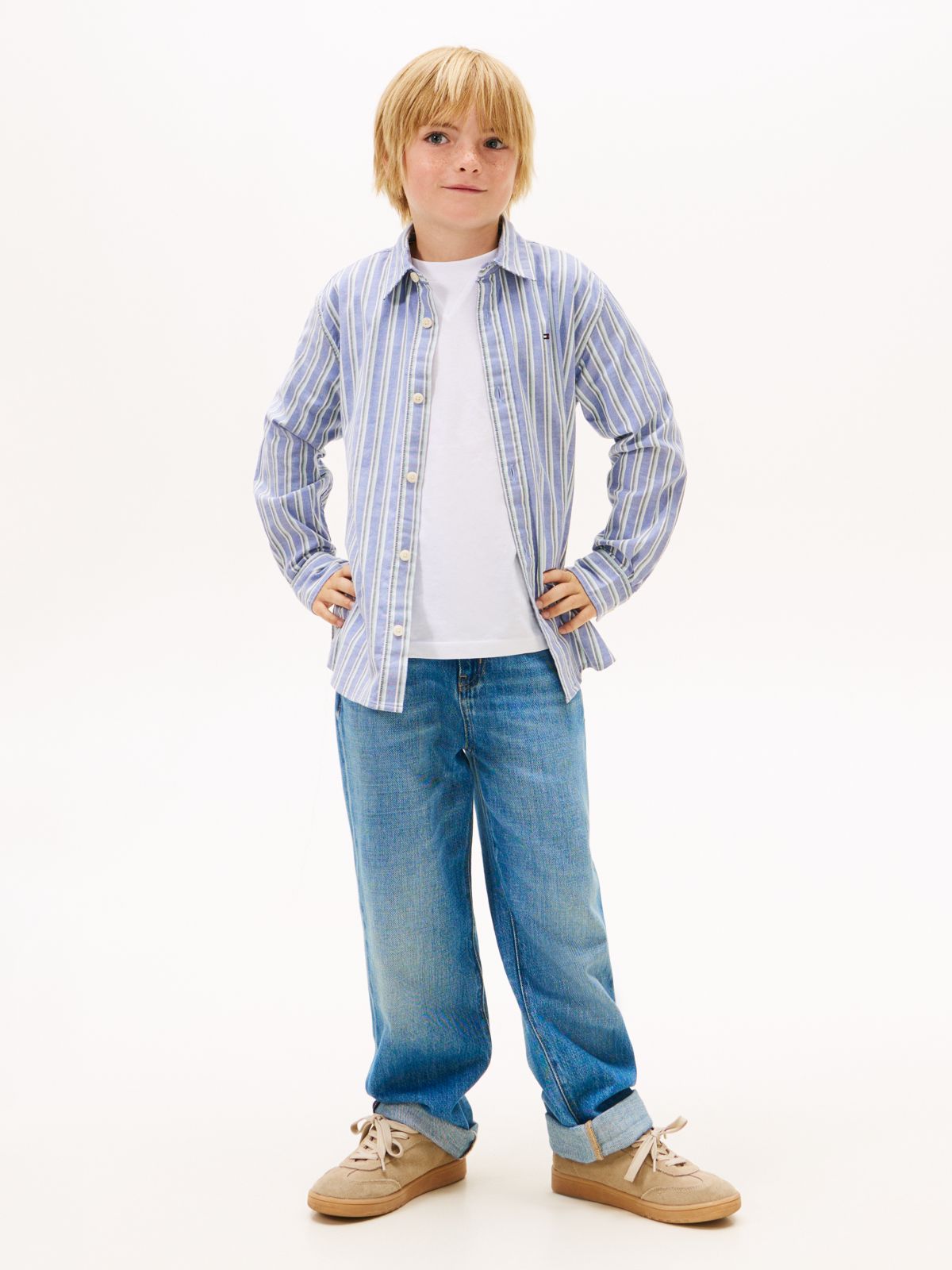 Festive Regular Fit Stripe Oxford Shirt — Blue