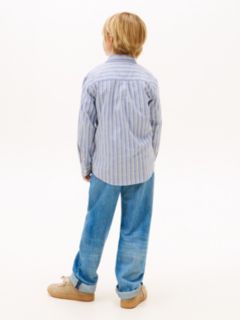 Festive Regular Fit Stripe Oxford Shirt — Blue 4