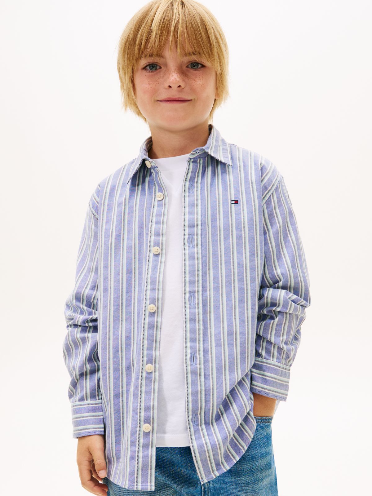 Festive Regular Fit Stripe Oxford Shirt — Blue