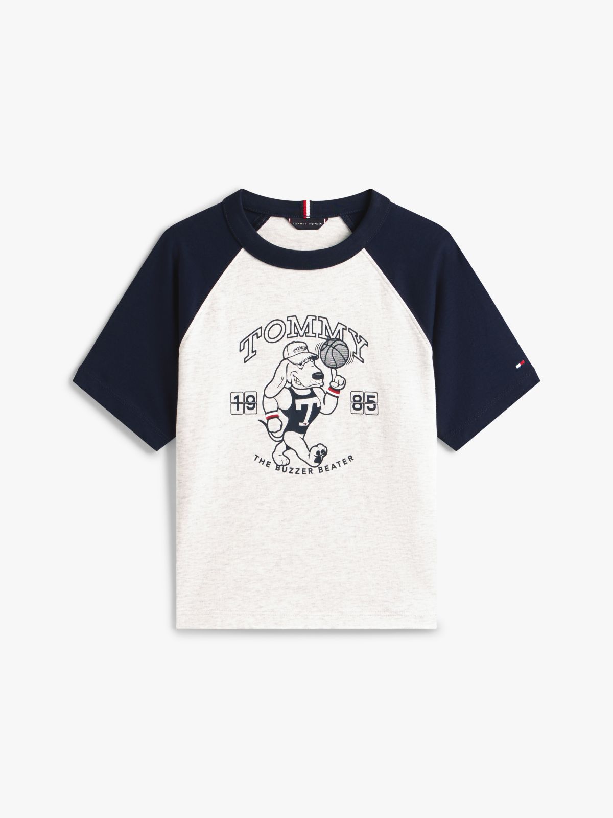 Graphic Raglan Crew Neck T-Shirt — Grey