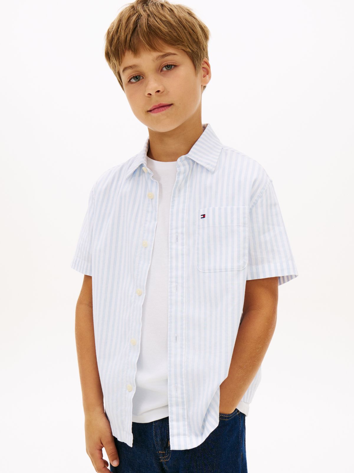 Ithaca Stripe Short Sleeve Oxford Shirt — Blue
