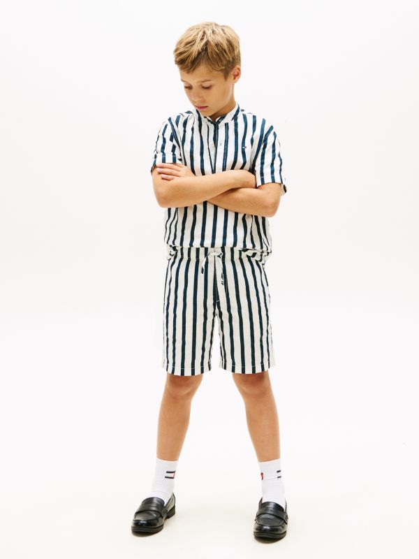 Linen Blend Stripe Relaxed Shorts — Blue