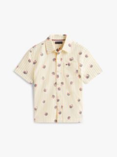 Print Ithaca Stripe Short Sleeve Oxford Shirt — Yellow 5