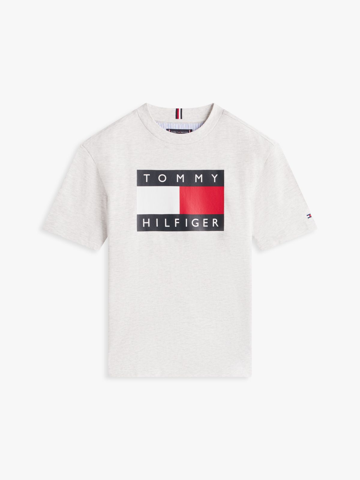 Flag Logo Jersey Crew Neck T-Shirt — Grey