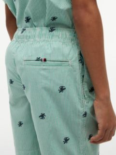 Ithaca Stripe Logo Embroidery Relaxed Shorts — Green 3