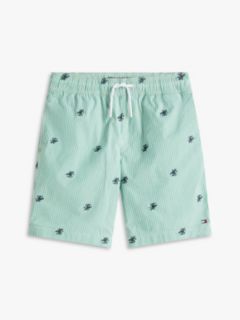 Ithaca Stripe Logo Embroidery Relaxed Shorts — Green 5