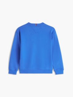 Adaptive Logo Brushed Fleece Sweatshirt — Blue 2