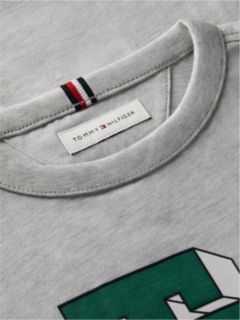 Varsity Logo Relaxed Jersey T-Shirt — Grey 6