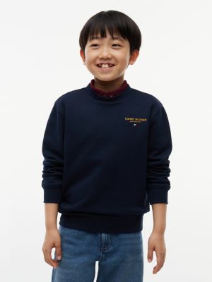 blue logo flag embroidery crew neck jumper for boys tommy hilfiger