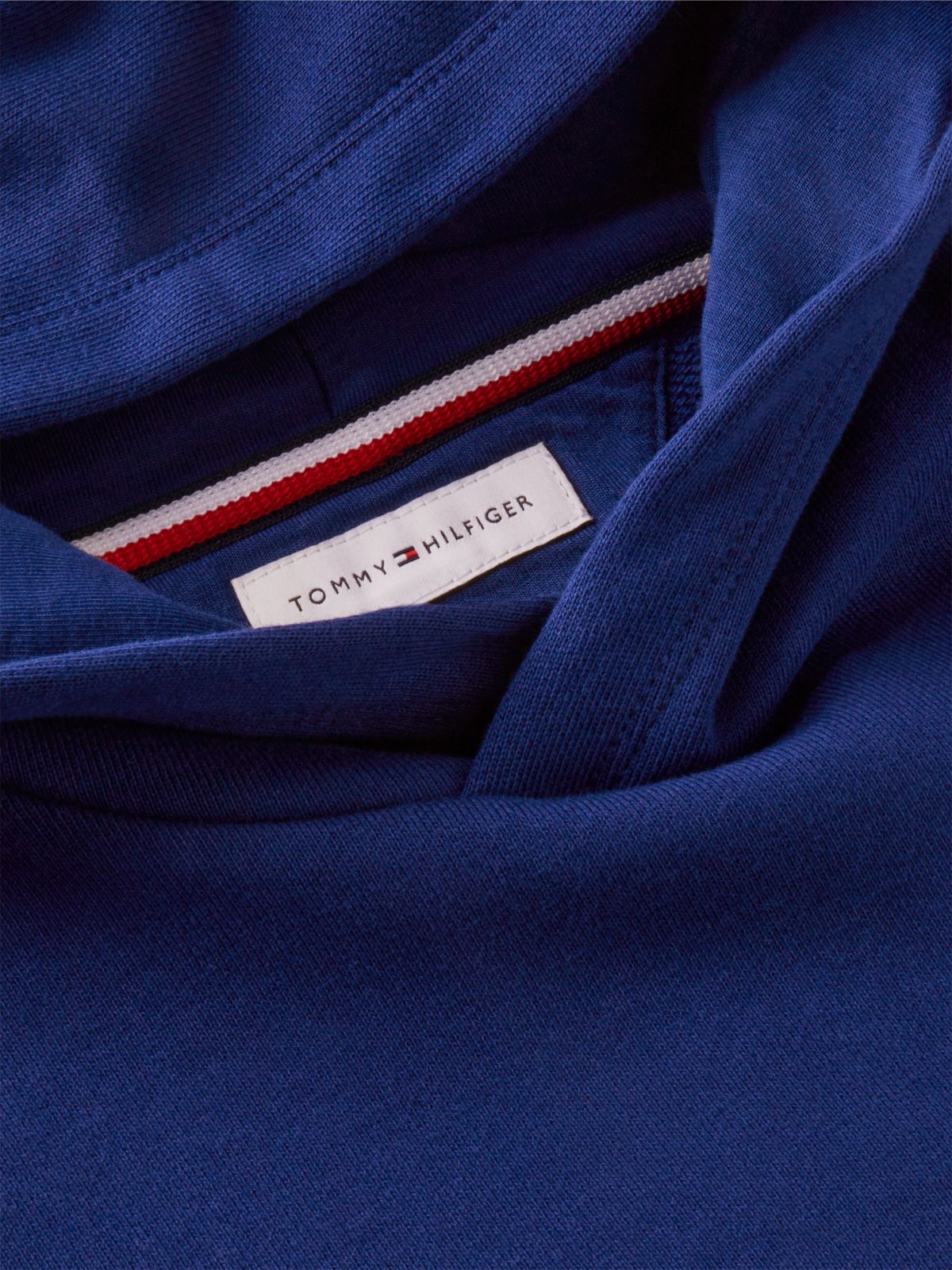 Essential Back Graphic Terry Hoody — Blue