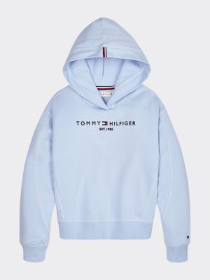 tommy hilfiger essential hoodie