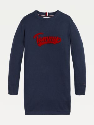 tommy hilfiger logo jumper