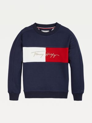 girls tommy hilfiger hoodie