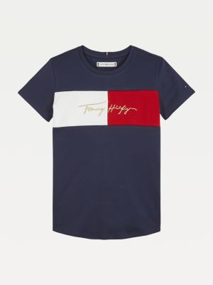 Tommy Icons Colour-Blocked Logo Pure 